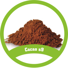 Cacao